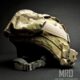 Фонарь на шлем Surefire HL1TN Tactical Helmet with Mount: Фото №10