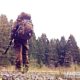 Рейдовый рюкзак Kelty Falcon 4000 Military Backpack: Фото №12