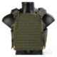 Плитоноска StrandHogg Plate Carrier Ranger Green. Emersongear