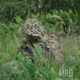 Маскировочная накидка Tactical Lightweight Assault Ghillie Multicam. Emerson: Фото №15