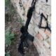 Зеленый лазерный прицел DreadHorn SFD-120 Green Laser: Фото №7